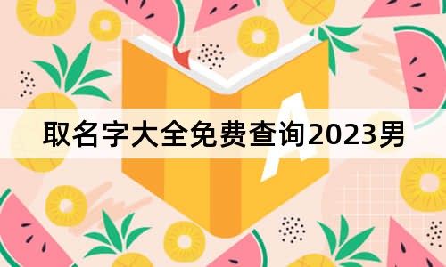 取名字大全免費查詢2023男孩子