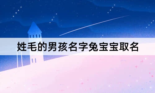 姓毛的男孩名字兔寶寶取名