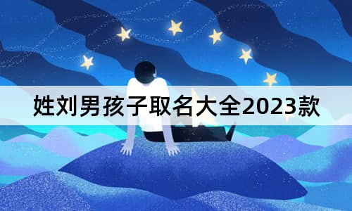 姓劉男孩子取名大全2023款