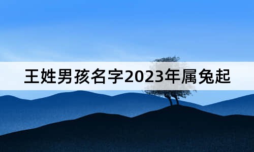 王姓男孩名字2023年屬兔起名