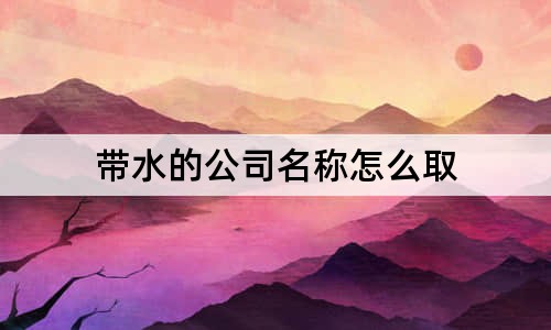 帶水的公司名稱(chēng)怎么取