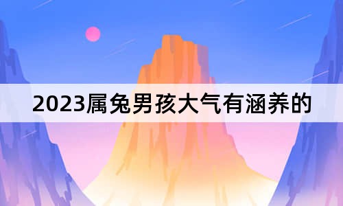 2023屬兔男孩大氣有涵養(yǎng)的名字