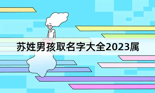 蘇姓男孩取名字大全2023屬兔