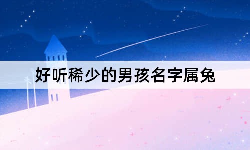 好聽稀少的男孩名字屬兔