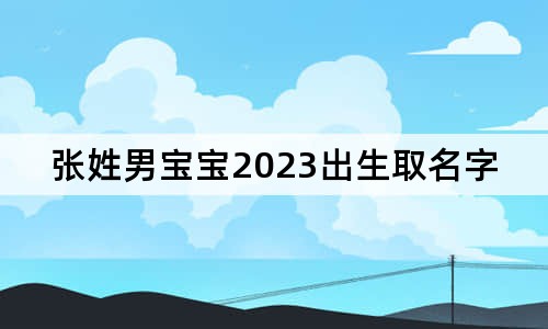 張姓男寶寶2023出生取名字怎么取