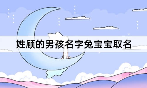 姓顧的男孩名字兔寶寶取名