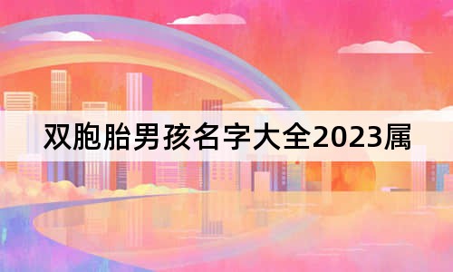 雙胞胎男孩名字大全2023屬兔