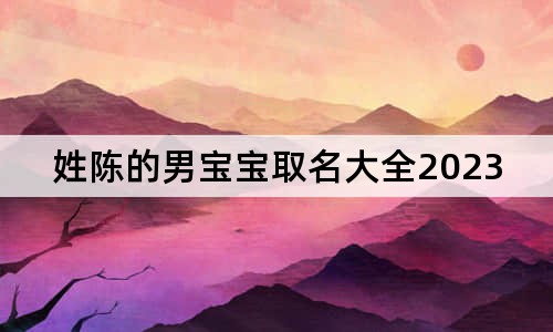 姓陳的男寶寶取名大全2023