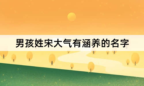 男孩姓宋大氣有涵養(yǎng)的名字